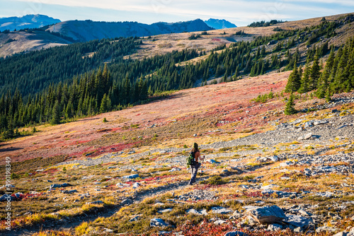 Hiker crossing a red and gold colored meadow in the mountains of Olympic National Park in fall
