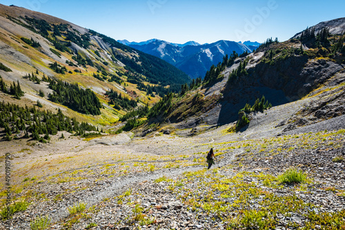 Hiker descending switchbacks in the Olympic National Park mountains