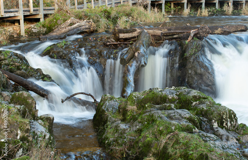 Cenarth Falls in Pembrokeshire, Wales, UK photo