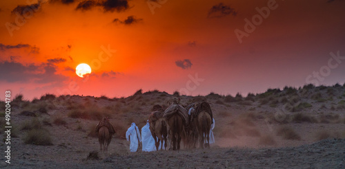 Closeup of people migrating on camels