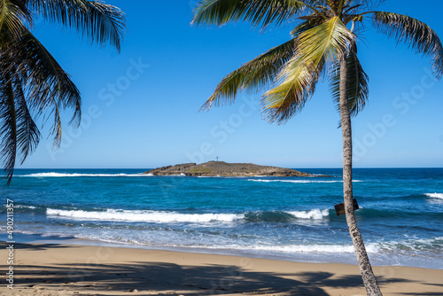 Fototapeta Naklejka Na Ścianę i Meble -  palm trees on the beach Pueto Rico