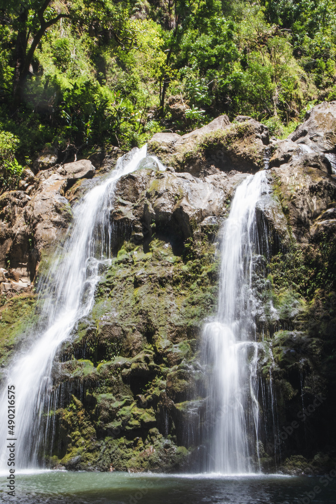 waterfall in the forest