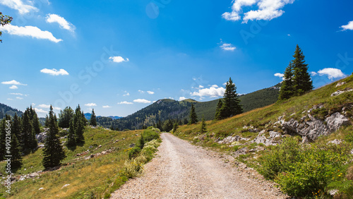 Beautiful view of a unpaved photo