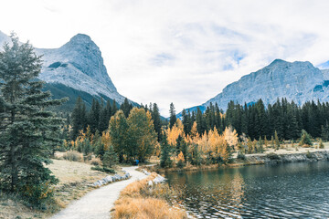 Beautiful wallpaper of a lake surrounded by tall trees and high snowy mountains in the background