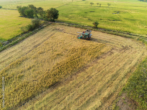 Harvester working in the field. Combine harvester farming machine harvesting golden ripe wheat agriculture aerial view from above.