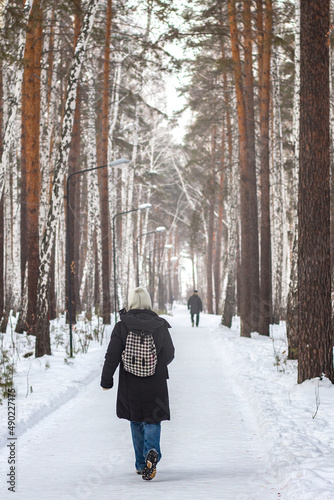 winter walk in the park. people walk along a snow-covered road among the trees. Beautiful winter alley.