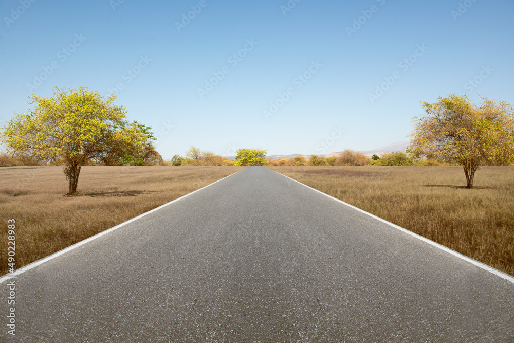 Asphalt road with grass and trees