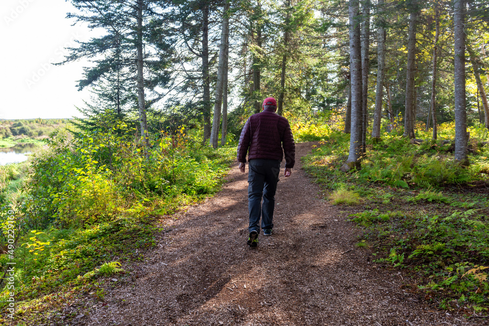 Fototapeta premium Senior aged male hiking through the woods along a worn path on an autumn day. The man is wearing a dark puffy jacket, a red ball hat, and jeans. The trees are tall with sun seeping in through them. 