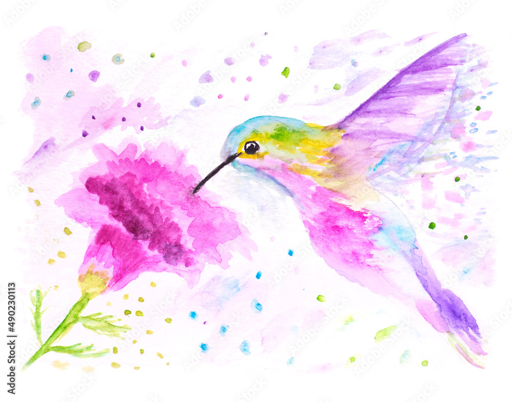 Abstract watercolor painting of a wild hummingbird with a single pink flower