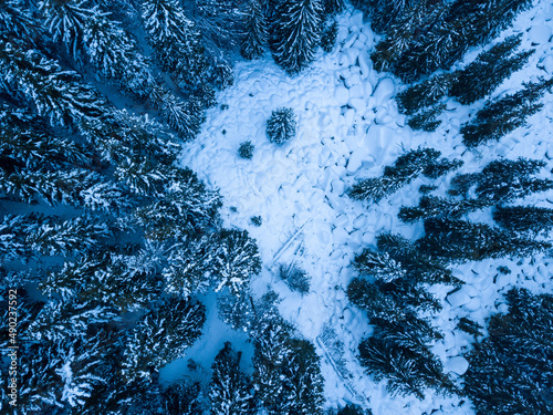 Beautiful view of a snow-covered landscape with trees in Dushantsi photo