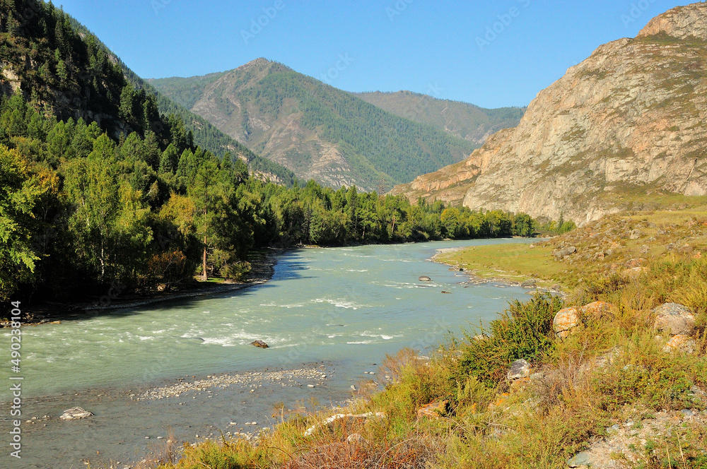 The winding bed of a beautiful river flowing through the summer valley, surrounded by coniferous forests and high mountains.