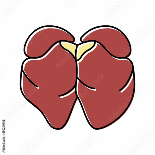 liver chicken color icon vector illustration