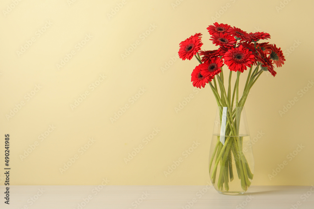 Obraz premium Bouquet of beautiful red gerbera flowers glass in vase on white table near beige wall. Space for text