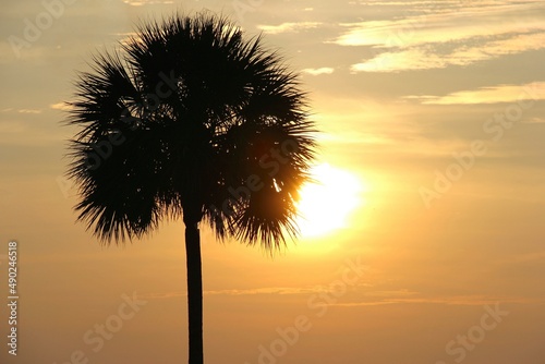 Gulf Coast Sunsets in Destin  FL