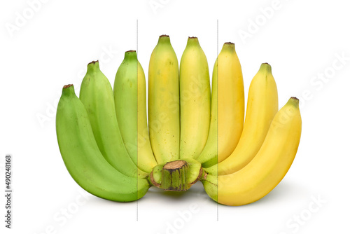 Ripening stages of banana isolated on white background.