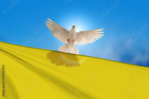 White Dove holding Ukraine flag Flying on blue sky to independence , freedom ,Pray for Ukraine and No war concept photo