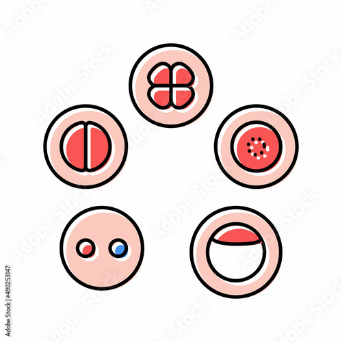 cell development color icon vector illustration