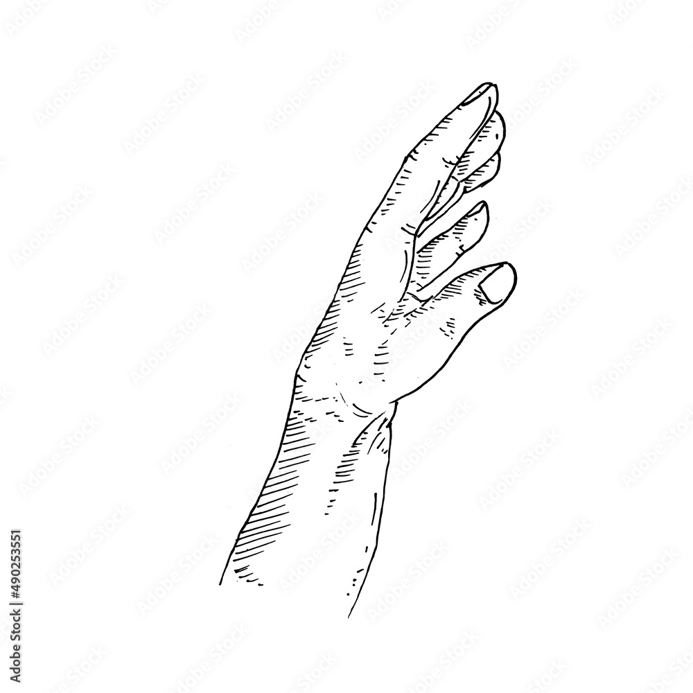 Hand Gesture part 3 (23) Hand Gesture part 3 (23)