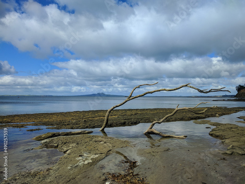 Rocky coastline, sea and blue sky on background, Long Bay, New Zealand.