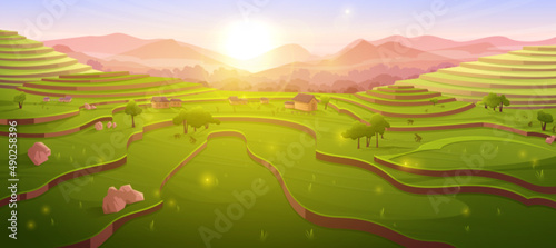 Terraced rice fields at sunrise, sunny morning chinese farmland at mountain landscape. Asian cascade plantation, scenery agriculture meadow with plants in China or Vietnam, Cartoon vector illustration