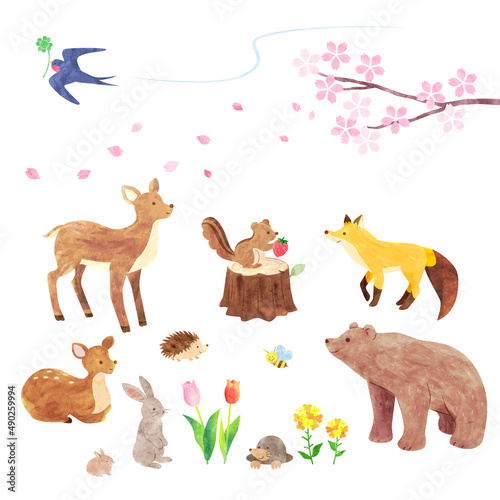 手描き水彩風　森にいる可愛い動物たちのイラストセット