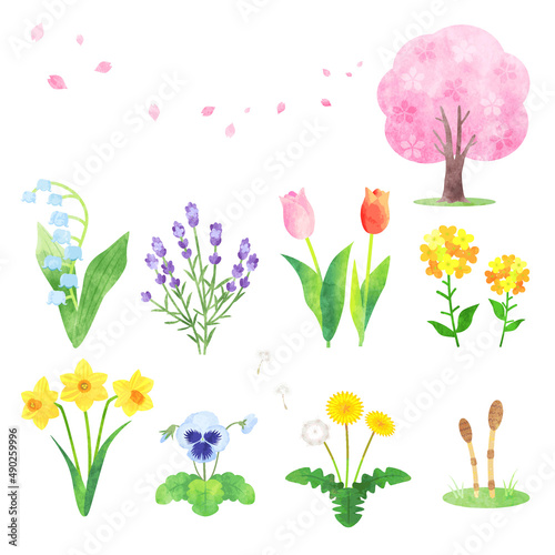 手描き水彩風　春の花イラストセット
