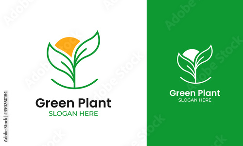 Minimalist plant logo with nature and organic concept