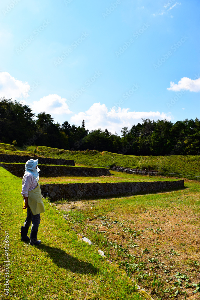 田んぼを見つめる農家の女性