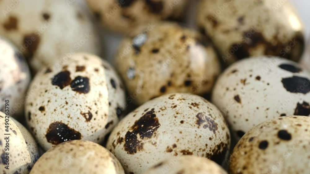 Close-up of quail eggs a rotating . Bright colorful quail eggs. Macro. Selective focus