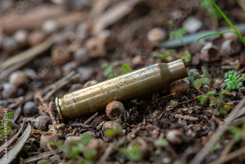 Bullet case on the ground. Empty cartridge case of long-barreled gun in selective focus. War concept.