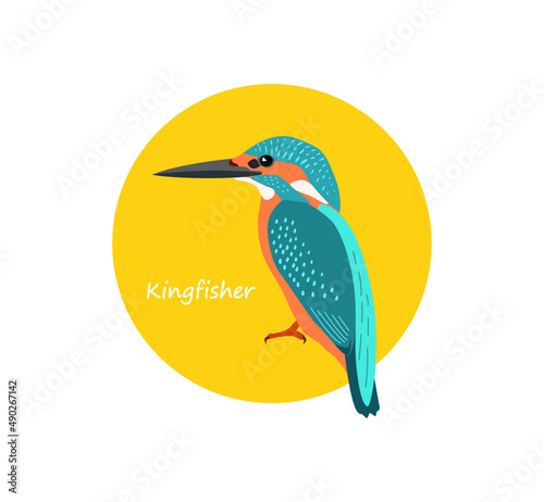 Valokuva Common kingfisher portrait in round frame. Vector illustration
