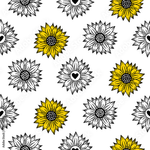 Sunflower seamless pattern. Summew wild blooming flowers background. Black, yellow and white illustration.