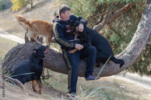 A man and his pets. An adult male sitting with his dogs on the trunk of a pine tree.