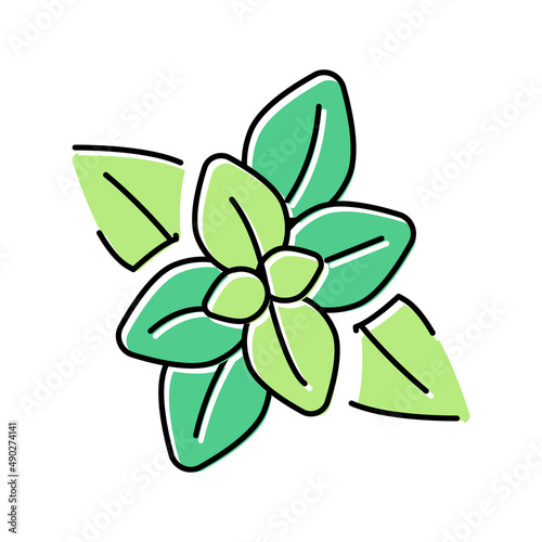 peppermint aromatherapy color icon vector isolated illustration