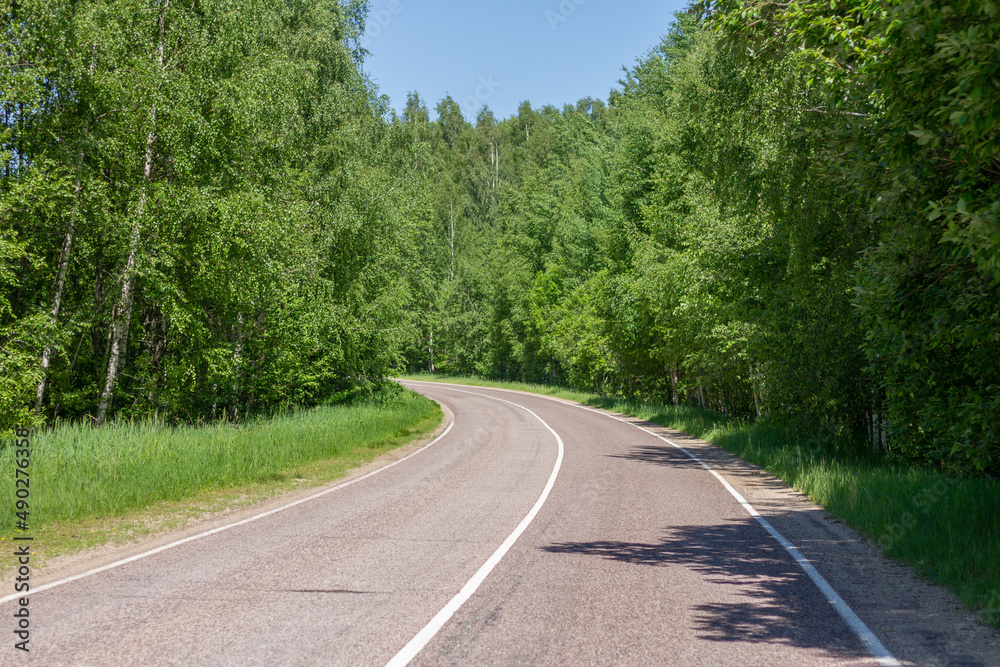 Forest and road landscape. Summer season.