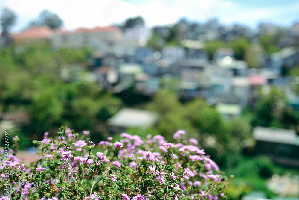 Obraz premium Royalty high quality free stock photo of abstract blur and defocused of villa in Da Lat, Known as the 