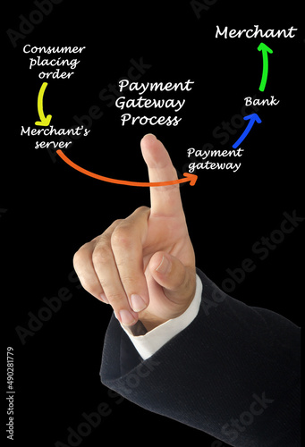 Components of payment gateway process