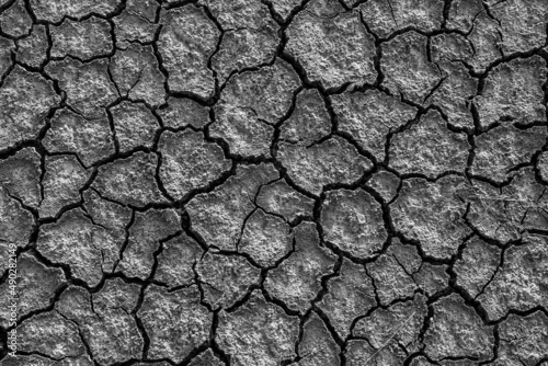 Murais de parede Dry cracked earth background, clay desert texture