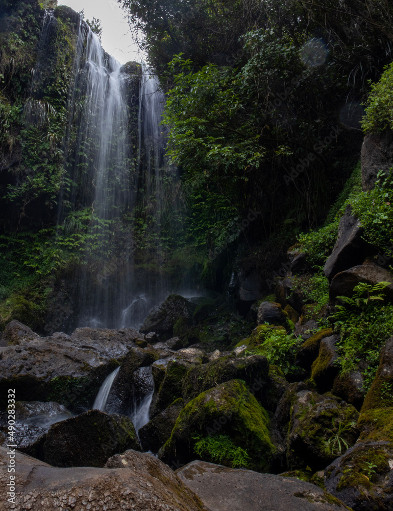 Fototapeta premium waterfall in the forest