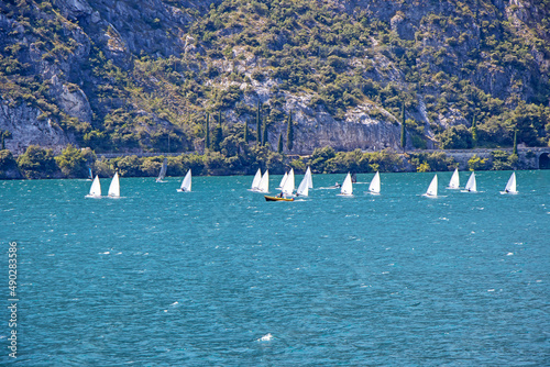Many small sailboats sail on Lake Lago di Garda in Italy