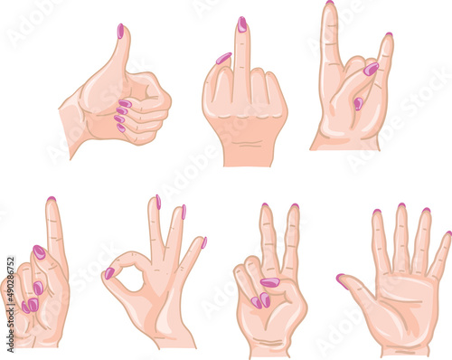 A set of 7 female hand gestures. Realistic life like style. Thumbs up victory palm middle finger one rock and ok sign.