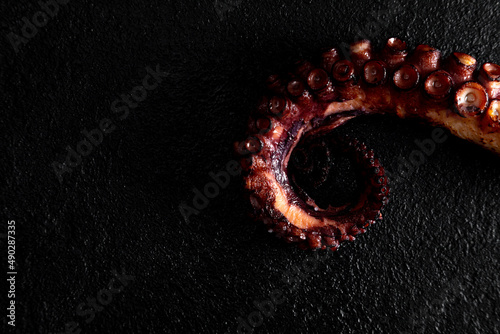 phalanx of grilled octopus on a dark background