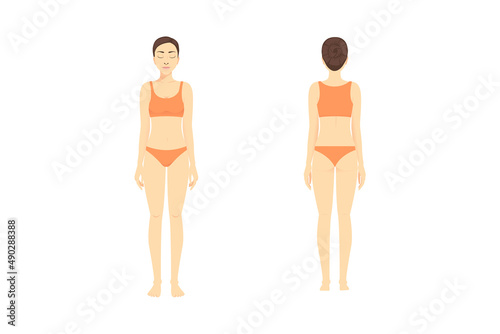 full length of woman standing in front and back wearing a bikini and bra on isolated. cartoon about the body, diet, anatomy, beauty, and medical.