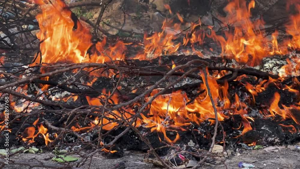 Tree branches with trash on fire outdoor Tree branches with trash on fire outdoor