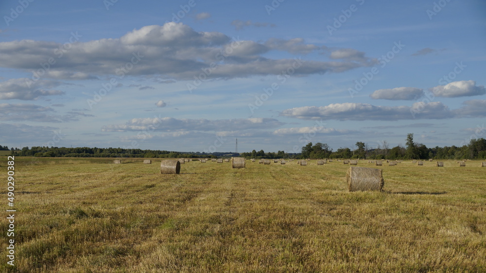 Hay rolls on the field