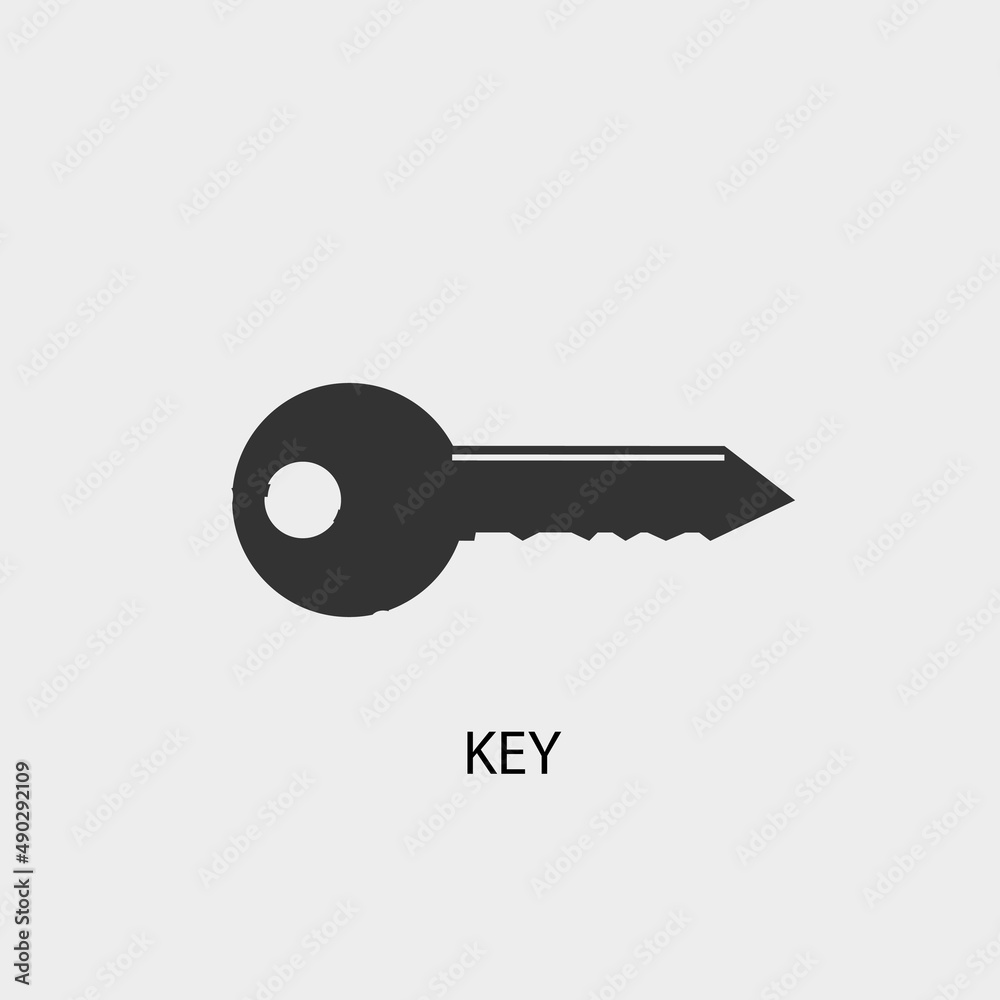 Keys vector icon illustration sign