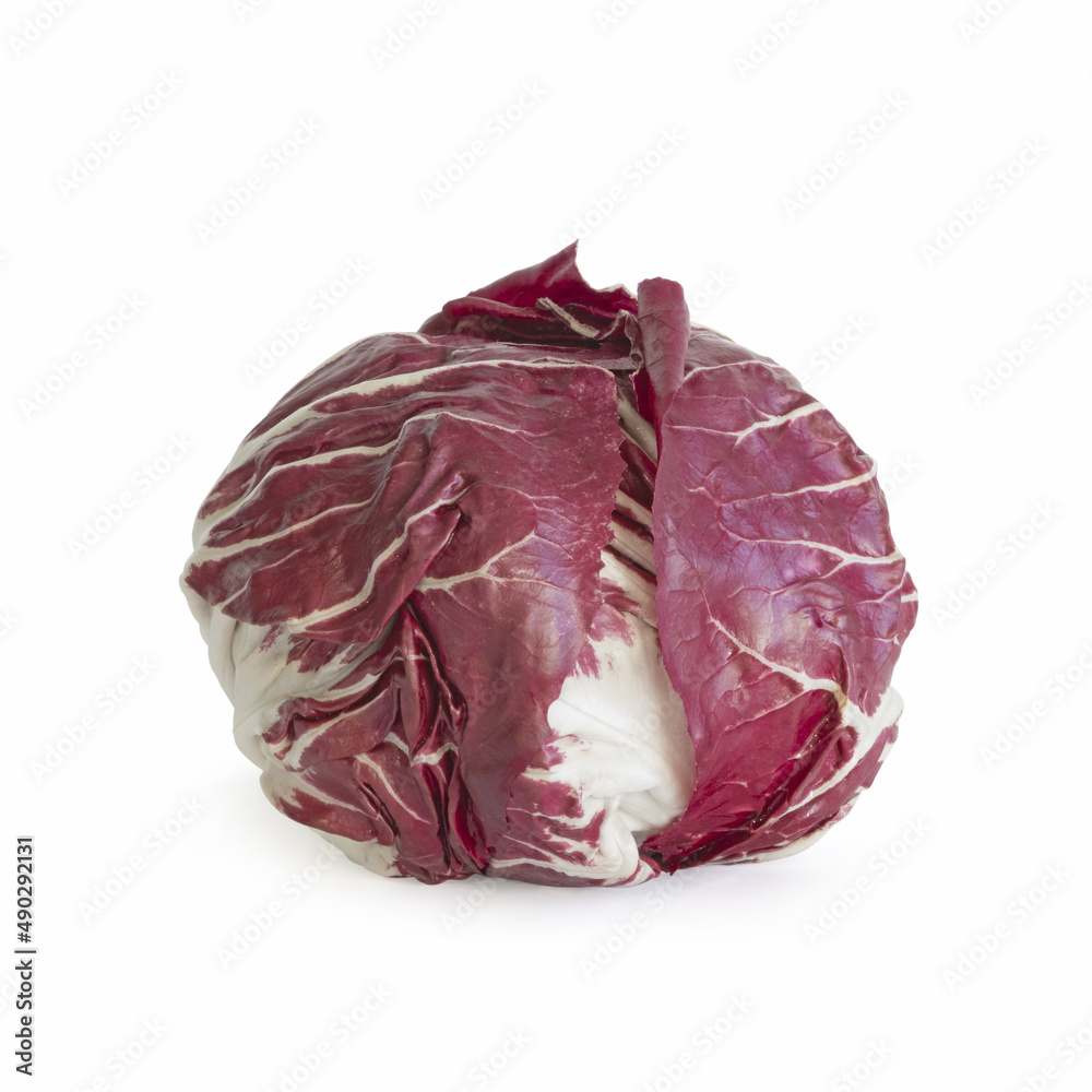 Salade rouge Trévise Salade rouge Trévise