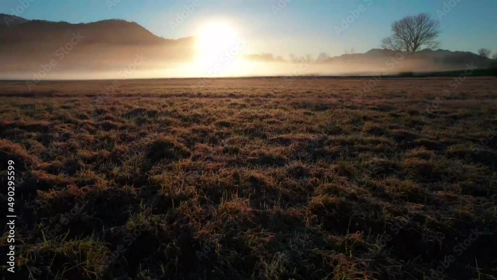Fields with fog at dawn, morning, sunrise.Drone bottom up. Shadows and colors. Cloud. Fields with fog at dawn, morning, sunrise.Drone bottom up. Shadows and colors. Cloud.