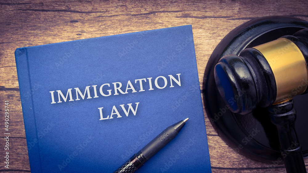 Immigration law book and gavel on a brown wooden table. Law and legal concept Immigration law book and gavel on a brown wooden table. Law and legal concept