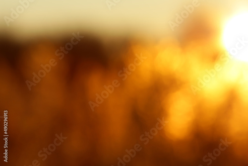 Abstract blurred golden sunset background with bokeh effect